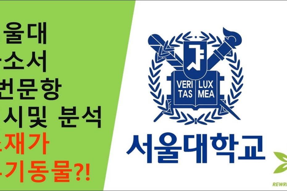 서울대 자소서 3번 문항 예시 및 분석 - 소재 : 유기동물 - Youtube