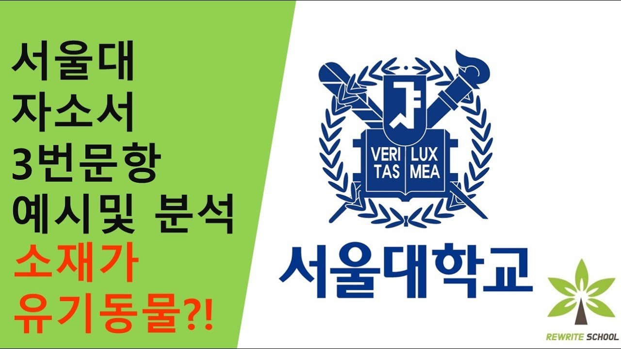 서울대 자소서 3번 문항 예시 및 분석 - 소재 : 유기동물 - Youtube