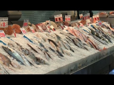 Report urges pregnant women to avoid eating tuna