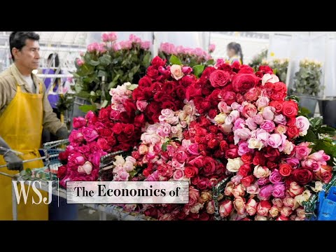 How 23 Million Flowers Are Delivered From Farm To Doorstep | WSJ The Economics Of